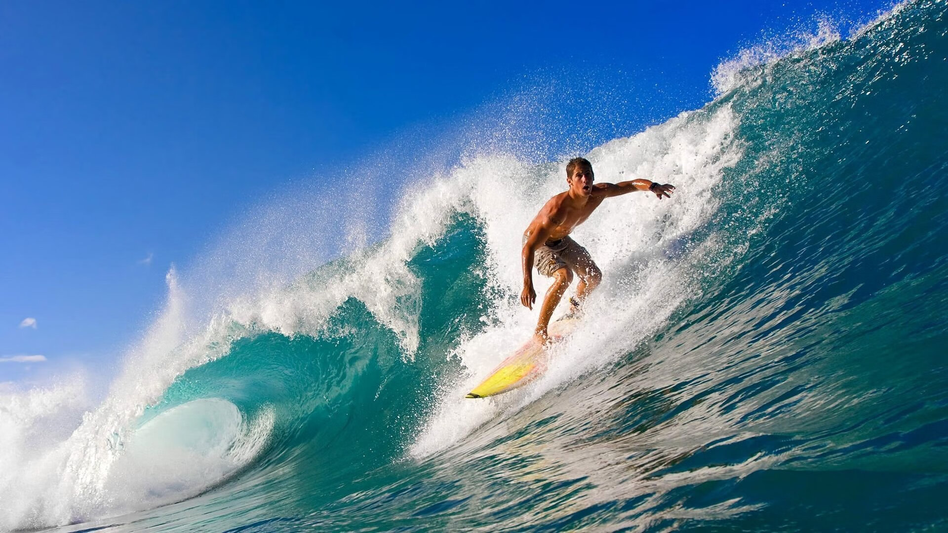 中国短道速滑世界杯首轮赛场，任子威再创佳绩强势夺金，中国短道速滑队任子威